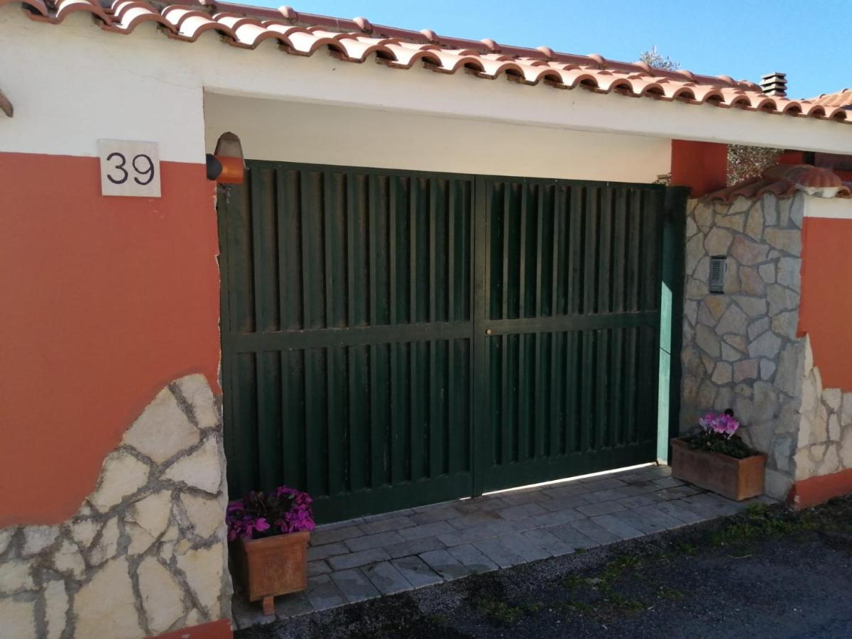 B&B Mamy Fiumicino Dış mekan fotoğraf